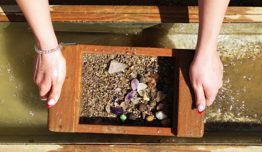 Mine for Gems at the Showcase of Citrus