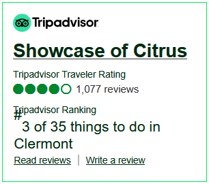 Trip Advisor Link
